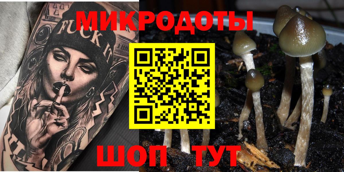Псилоцибиновые грибы мицелий Шелехов